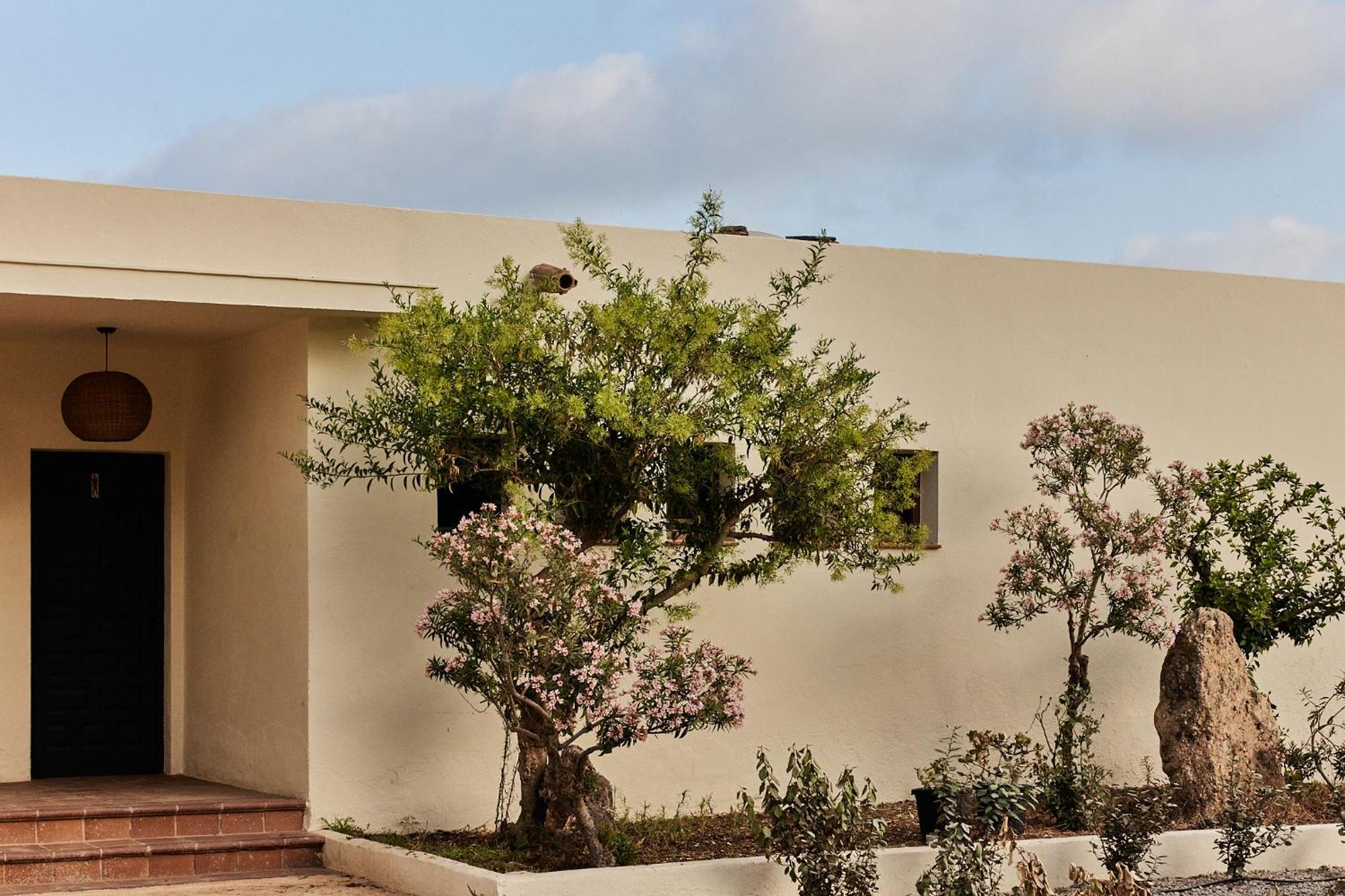 Taiga Almeria Playa Palomares  Exterior foto
